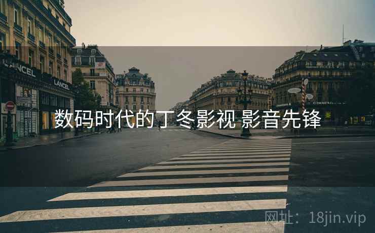 数码时代的丁冬影视 影音先锋