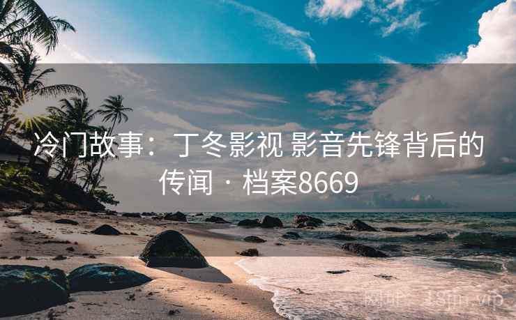 冷门故事：丁冬影视 影音先锋背后的传闻 · 档案8669