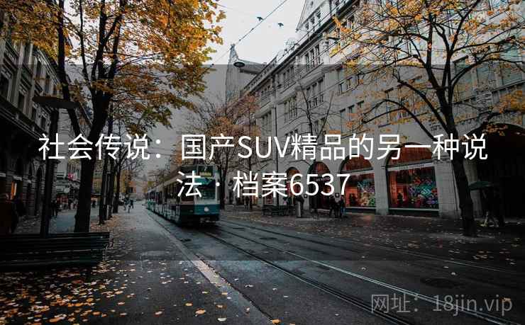 社会传说：国产SUV精品的另一种说法 · 档案6537
