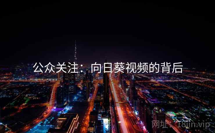 公众关注：向日葵视频的背后